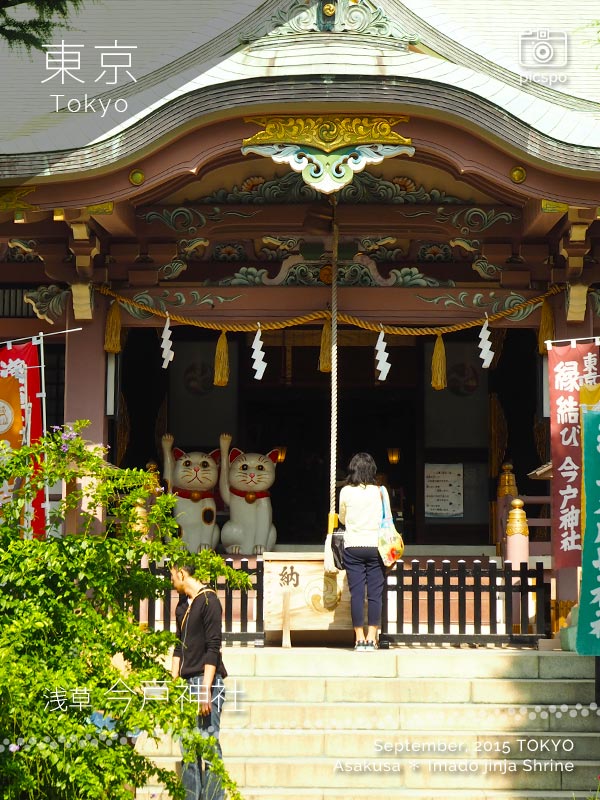 今戸神社の社殿