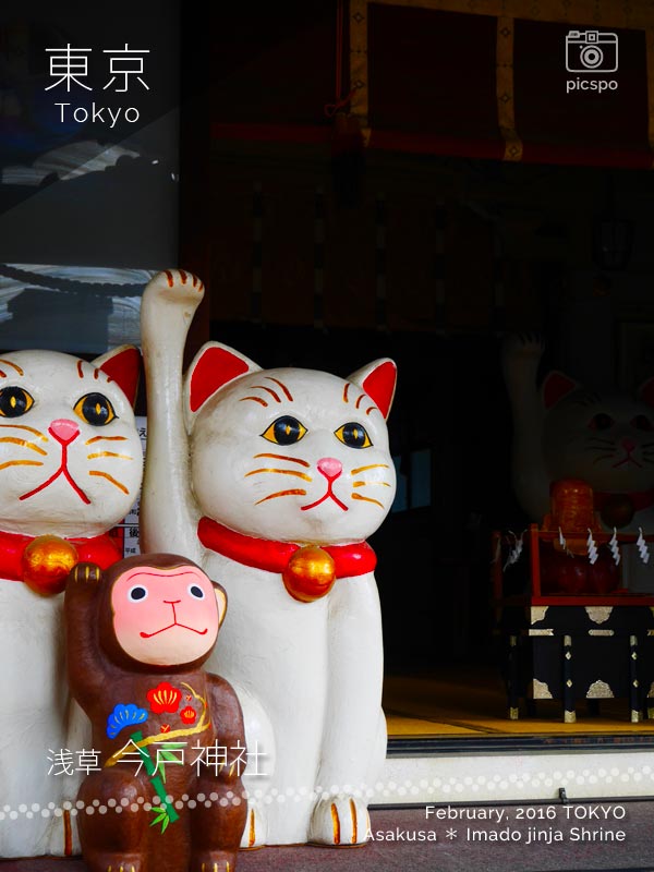 이마도진자 (今戸神社) : 마네키네코 (招き猫)