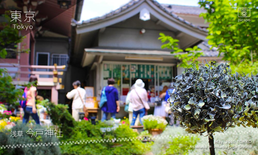 Asakusa : Imado jinja Shrine (今戸神社) 授与所