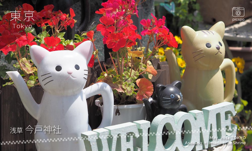 今戸神社の猫の置物