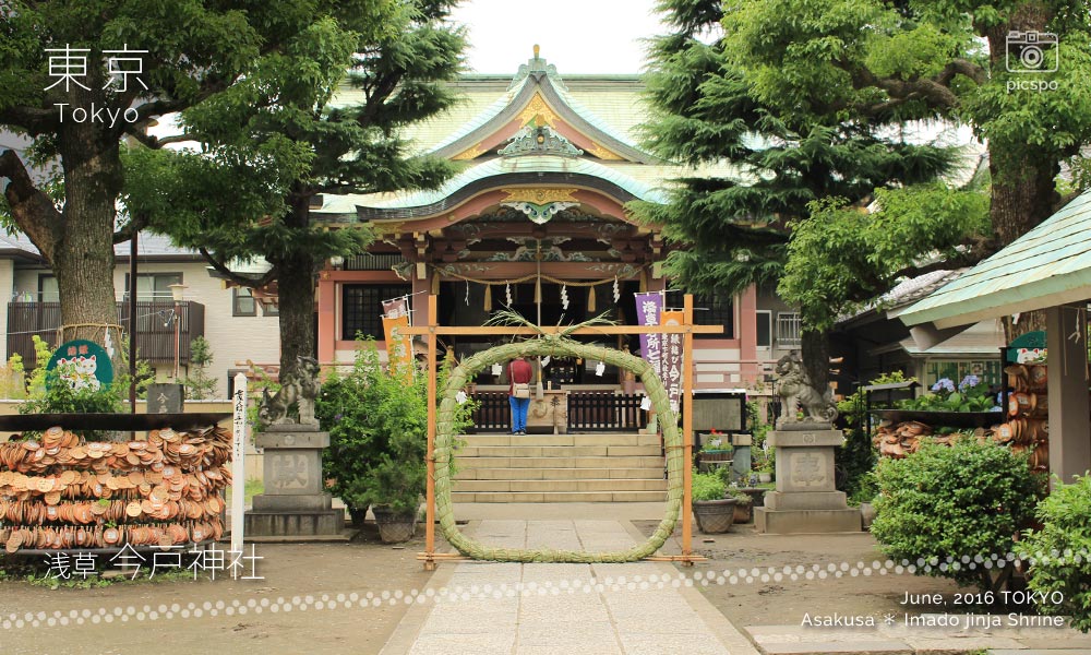 Asakusa : Imado jinja Shrine (今戸神社) 茅の輪くぐり