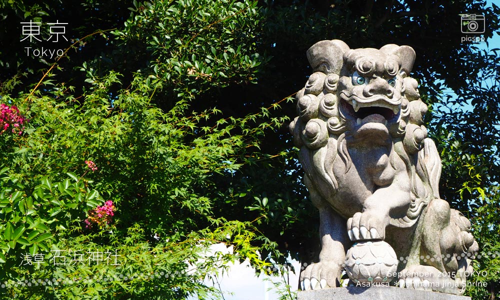 石浜神社の狛犬