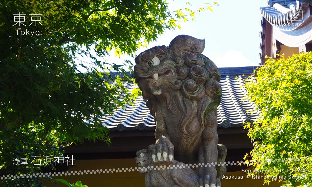 石浜神社の狛犬