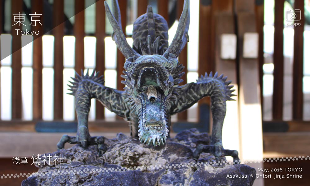 鷲神社の手水舎の龍