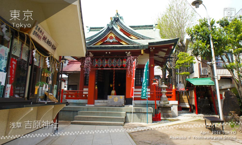 Yoshiwara Jinja Shrine (吉原神社) Shaden (社殿)
