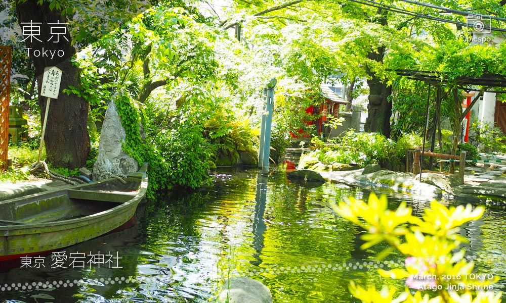 아타고진자 (愛宕神社) : 연못