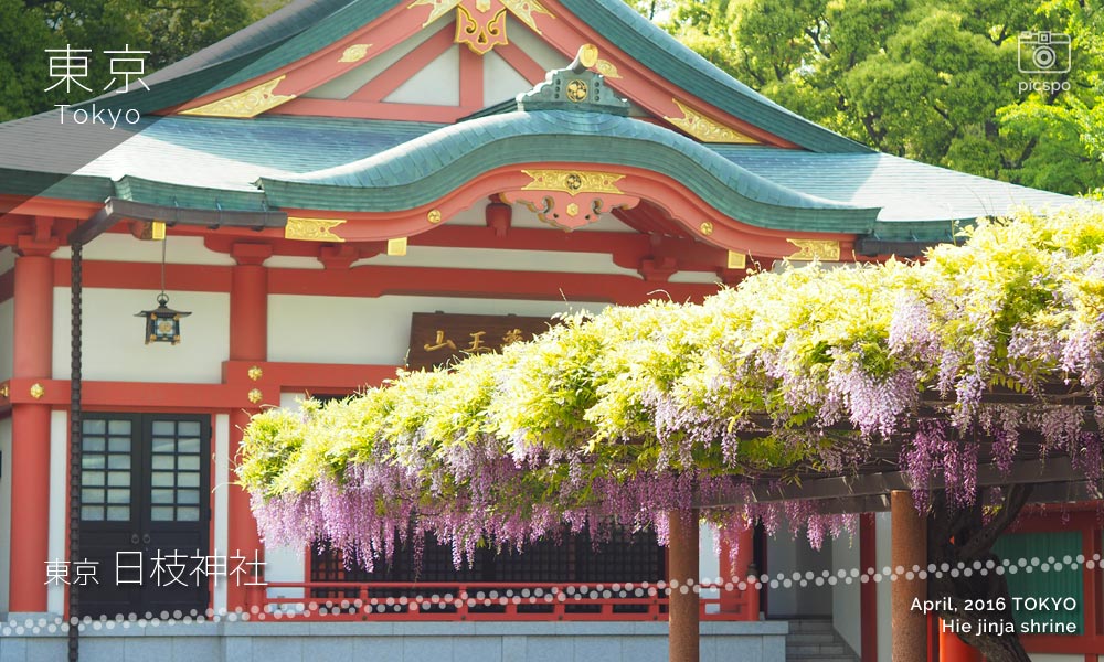 日枝神社の祈願所