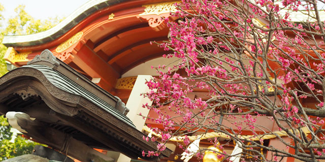 一年中緑と花の豊かな神社「亀戸天神社」