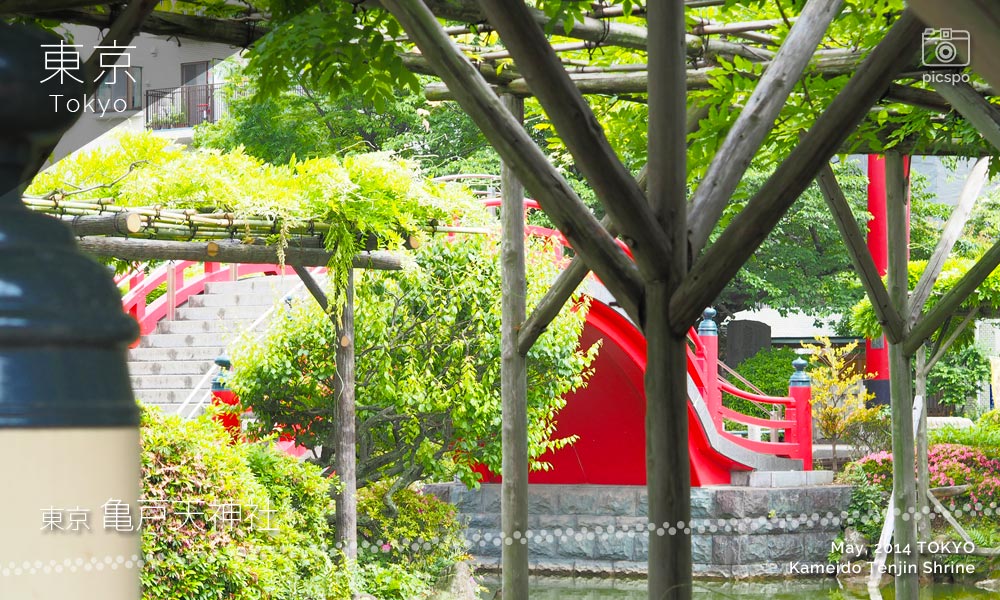 亀戸天神社の太鼓橋