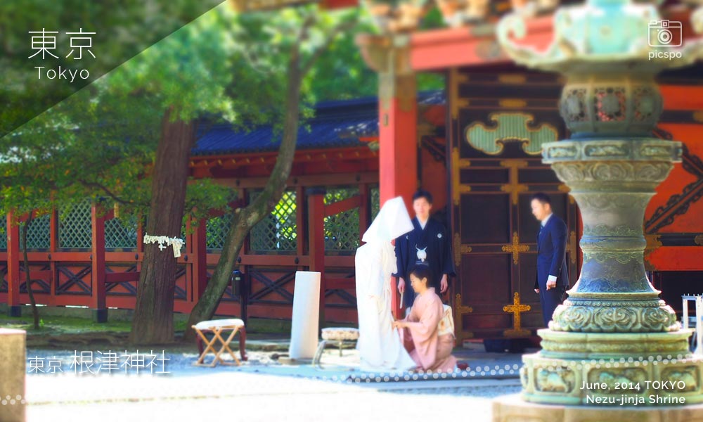 根津神社の神前結婚式