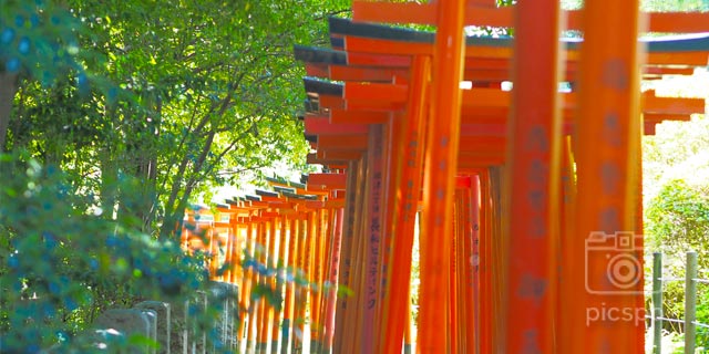 Japan Tokyo [BUNKYO-KU] Otome Inari Jinja Shrine (乙女稲荷神社)