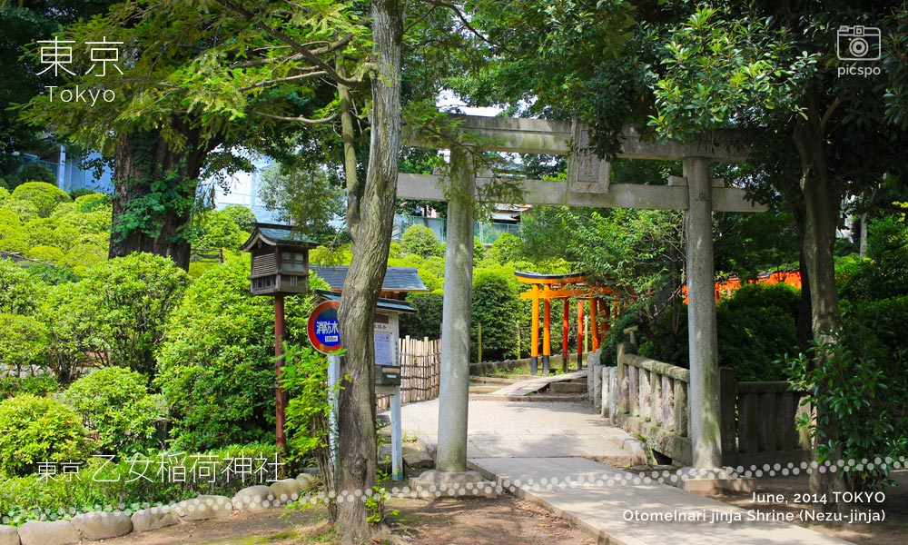 乙女稲荷神社の入口