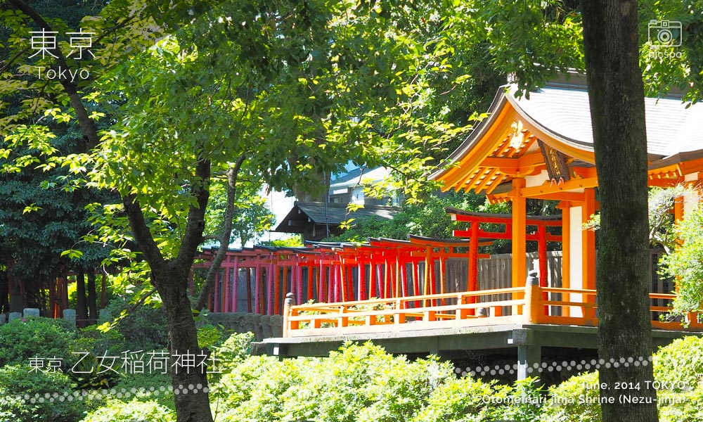 Otome Inari Jinja Shrine (乙女稲荷神社) 