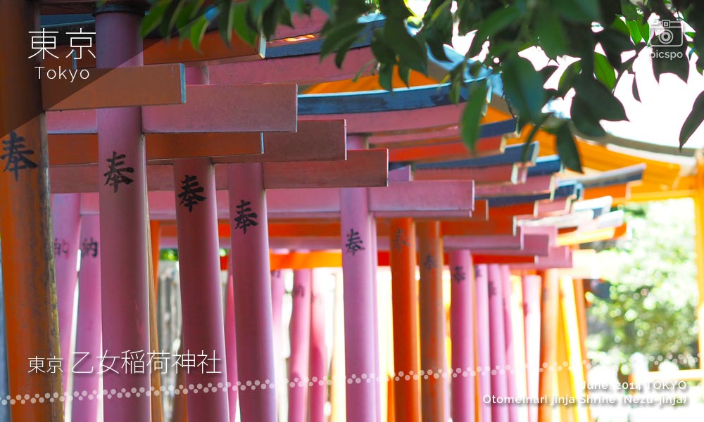 Otome Inari Jinja Shrine (乙女稲荷神社) Torii