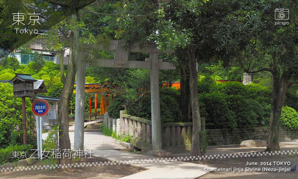 Otome Inari Jinja Shrine (乙女稲荷神社) Torii