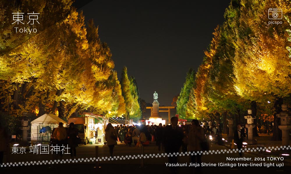 Yasukuni Jinja Shrine (靖国神社) Autumn festival
