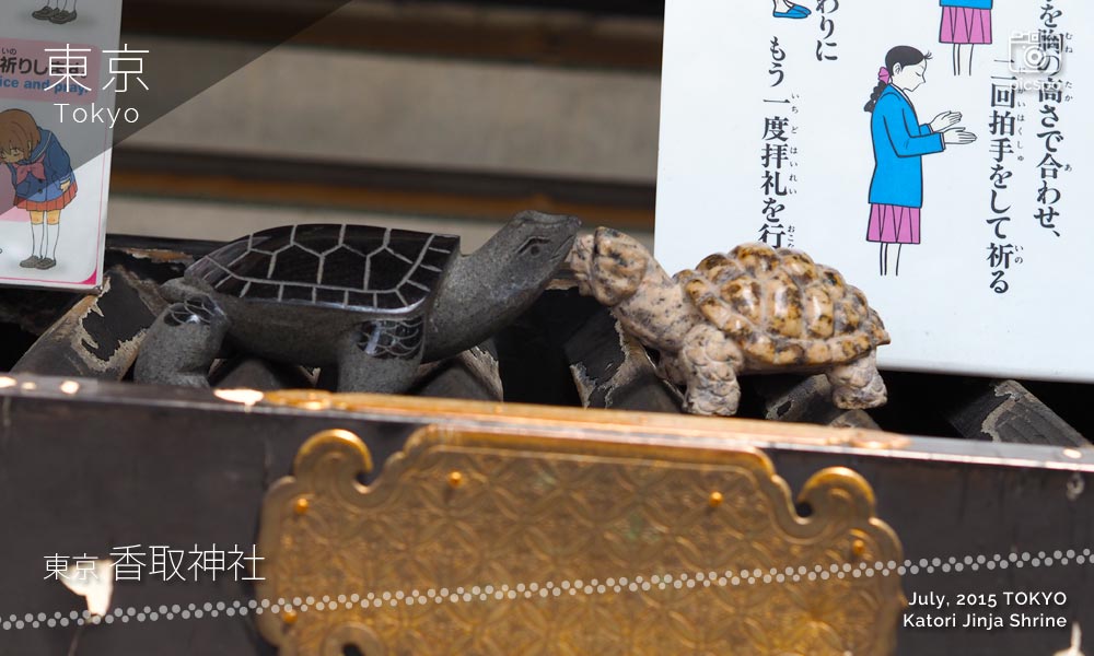 亀有･香取神社のお賽銭箱