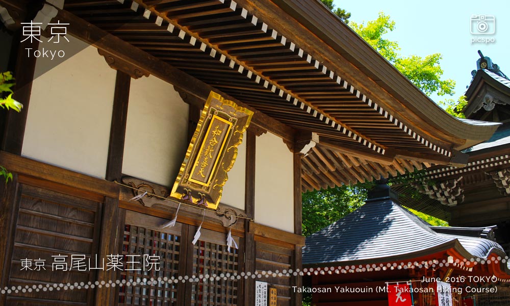 Takaosan Yakuōin Temple (高尾山薬王院)和合歓喜天堂