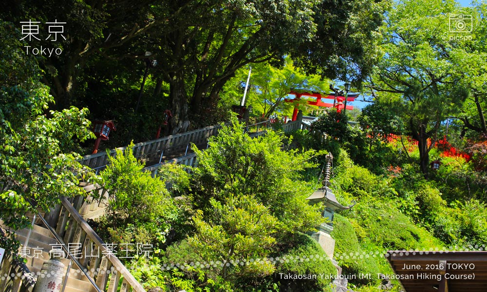 타카오산 야쿠오인 (高尾山 薬王院) 계단