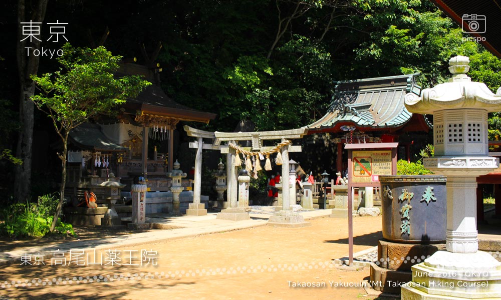 Takaosan Yakuōin Temple (高尾山薬王院) shrine