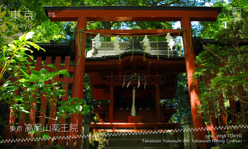 Takaosan Yakuōin Temple (高尾山薬王院) 浅間社