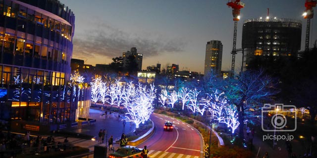 東京ミッドタウン☆クリスマス イルミネーション