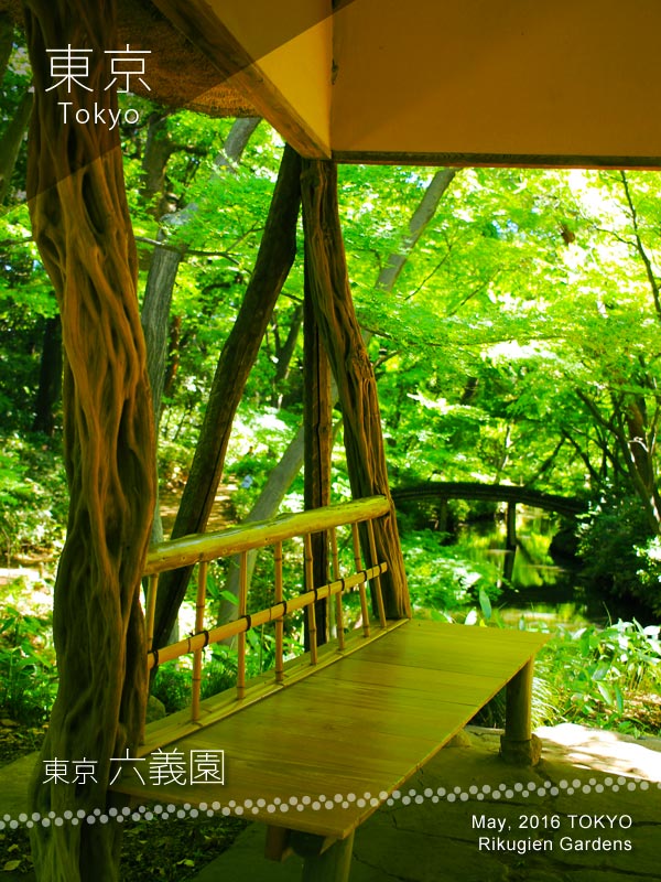 Rikugien Gardens (六義園) Tsutuji chaya