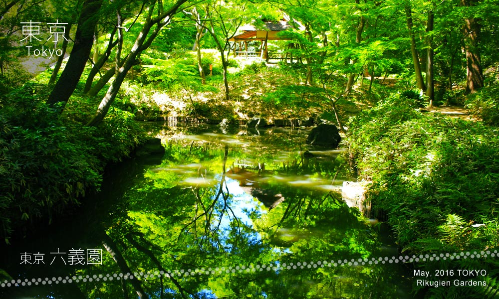 Rikugien Gardens (六義園) 剡渓流