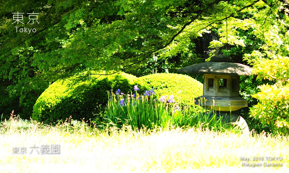 Rikugien Gardens (六義園) 石灯籠