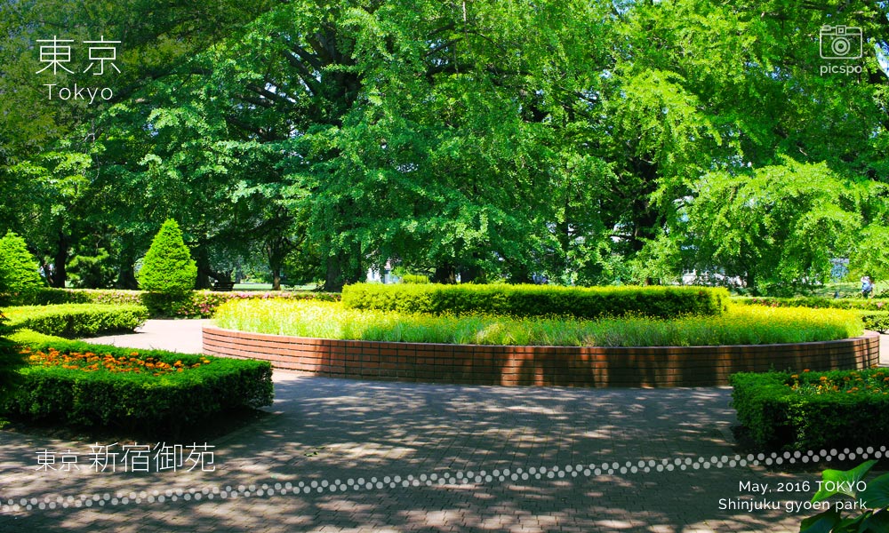 新宿御苑の丸花壇
