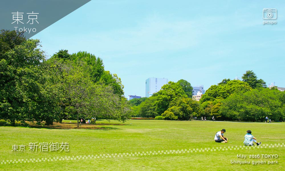 Shinjuku Gyoen Park (新宿御苑) English Landscape Garden