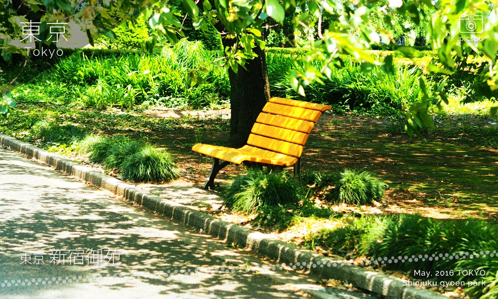 Shinjuku Gyoen Park (新宿御苑) bench