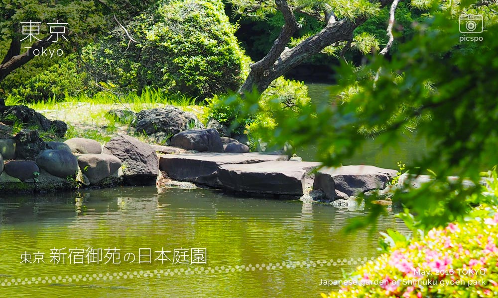 Japanese garden of Shinjuku Gyoen (新宿御苑) pond