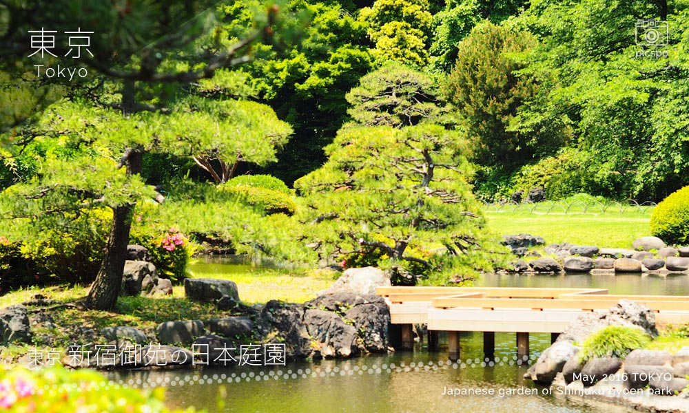 Japanese garden of Shinjuku Gyoen (新宿御苑) pond