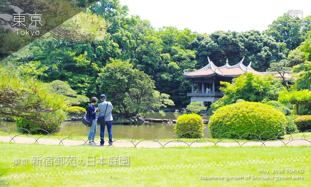 新宿御苑の日本庭園 上の池と旧御涼亭