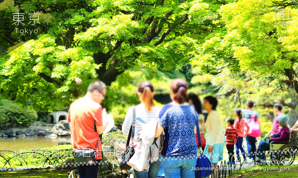 신주쿠교엔 (新宿御苑)의 일본정원