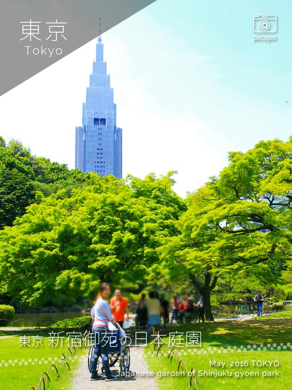Japanese garden of Shinjuku Gyoen (新宿御苑)
