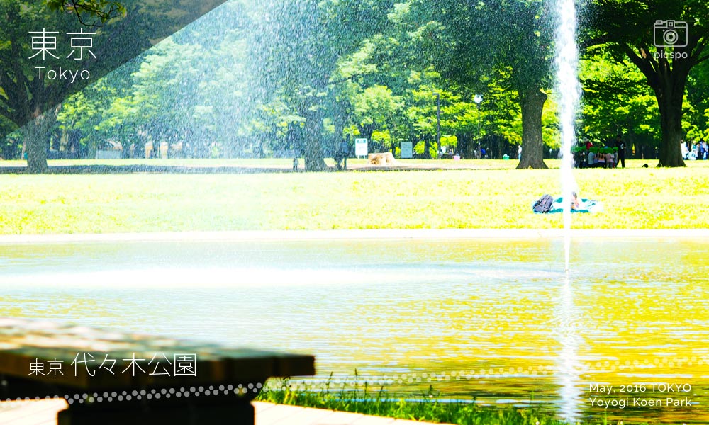 Yoyogi Park (代々木公園) water fountain
