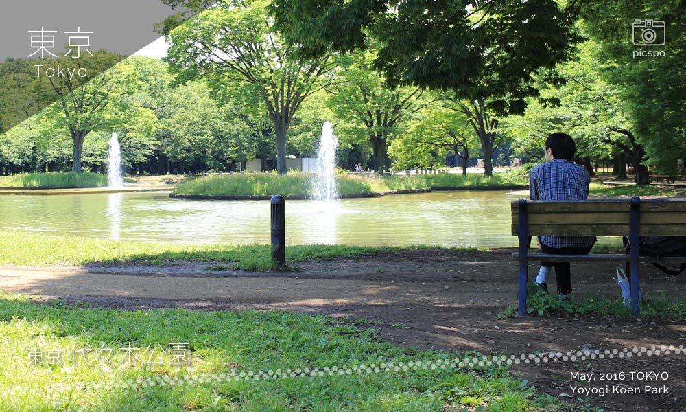 Yoyogi Park (代々木公園) around the pond
