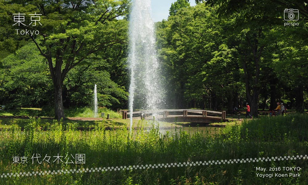 代々木公園の噴水
