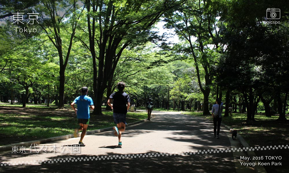 Yoyogi Park (代々木公園)