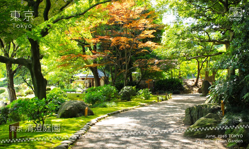 Kiyosumi Garden (清澄庭園) Freedom Square