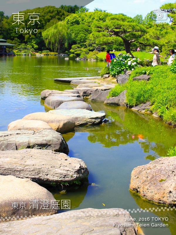 Kiyosumi Garden (清澄庭園)