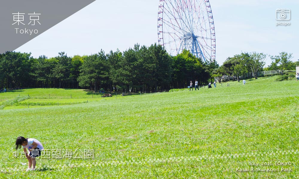 Kasai Rinkai Park (葛西臨海公園) view field