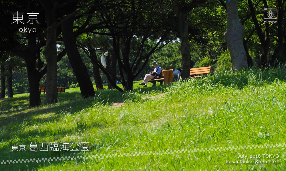 Kasai Rinkai Park (葛西臨海公園) view field