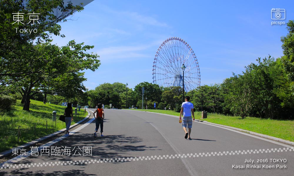 Kasai Rinkai Park (葛西臨海公園)