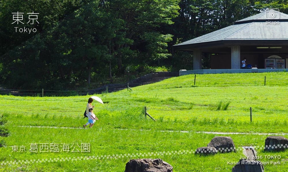 Kasai Rinkai Park (葛西臨海公園) lawn open space