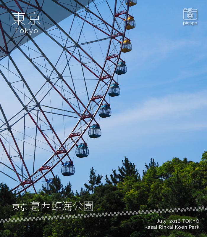 Kasai Rinkai Park (葛西臨海公園) Ferris wheel