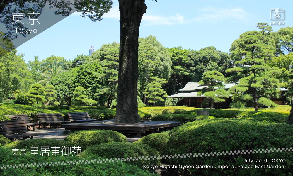 皇居 東御苑の日本庭園