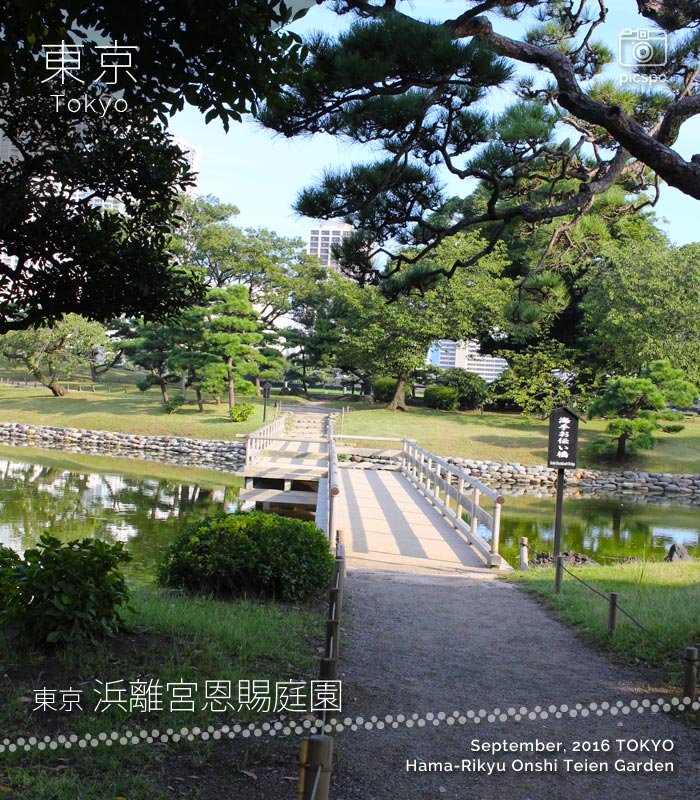 Hama Rikyu Onshi Teien Garden (浜離宮恩賜庭園) bridge